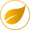 hoja